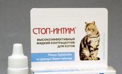Противозачаточные препараты для кошек Контрацептивы для кошек что лучше